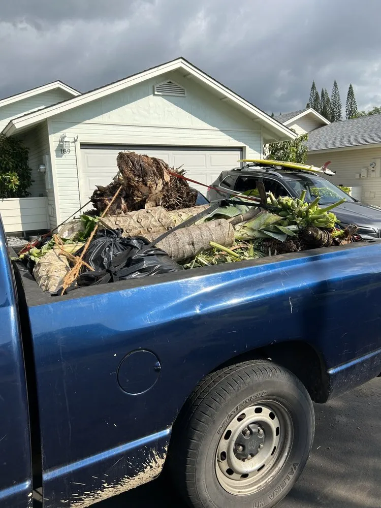 Top-rated residential landscaping for beautiful yards across Mountain View, HI - Padamadas landscaping