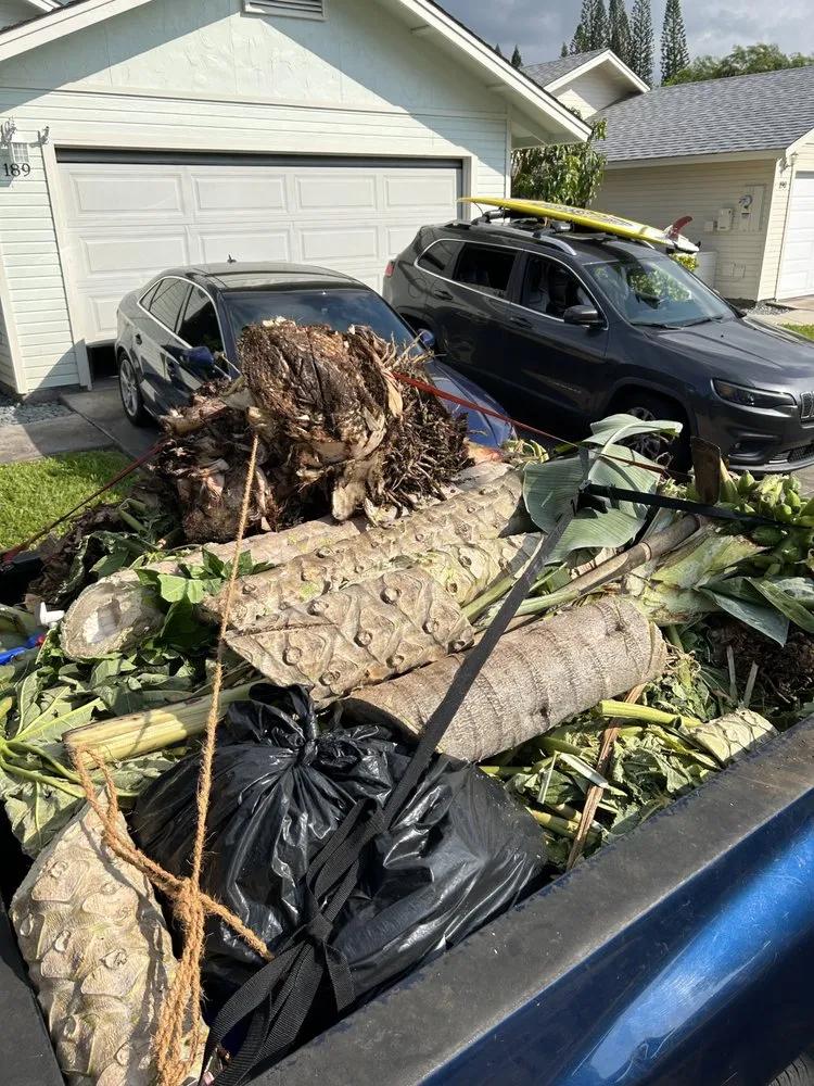 Local garden landscaping for residential properties across Mountain View, HI - Padamadas landscaping