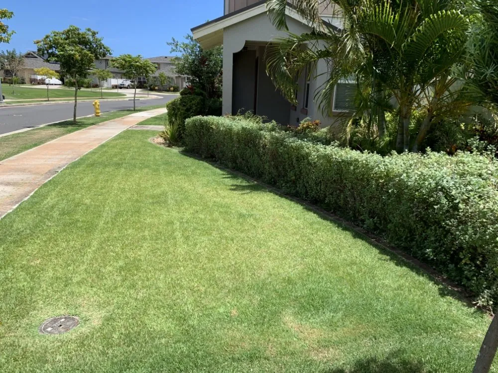 Local yard maintenance in Pahoa, HI by Padamada’s Landscaping