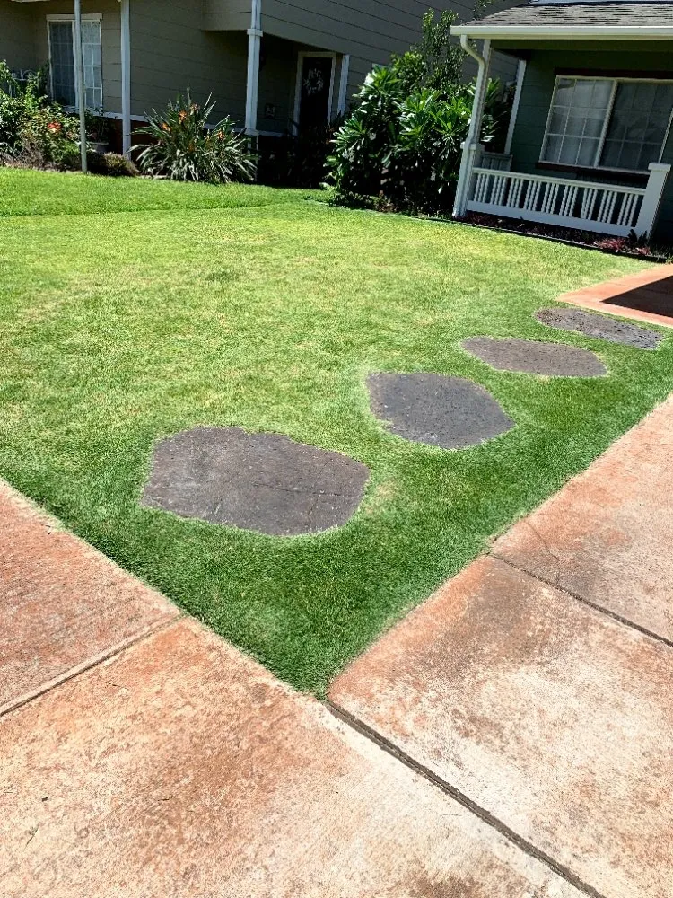 Trusted garden landscaping in Pahoa, HI - Padamada’s Landscaping