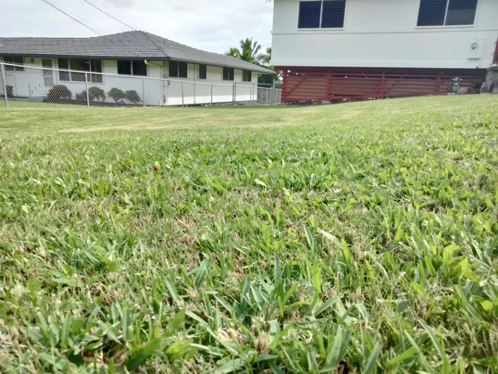 Reliable landscape installation in Pahoa, HI by Padamada’s Landscaping