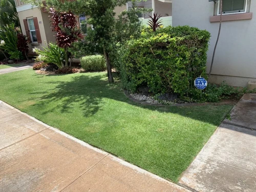 Professional landscape design in Pahoa, HI - Padamada’s Landscaping
