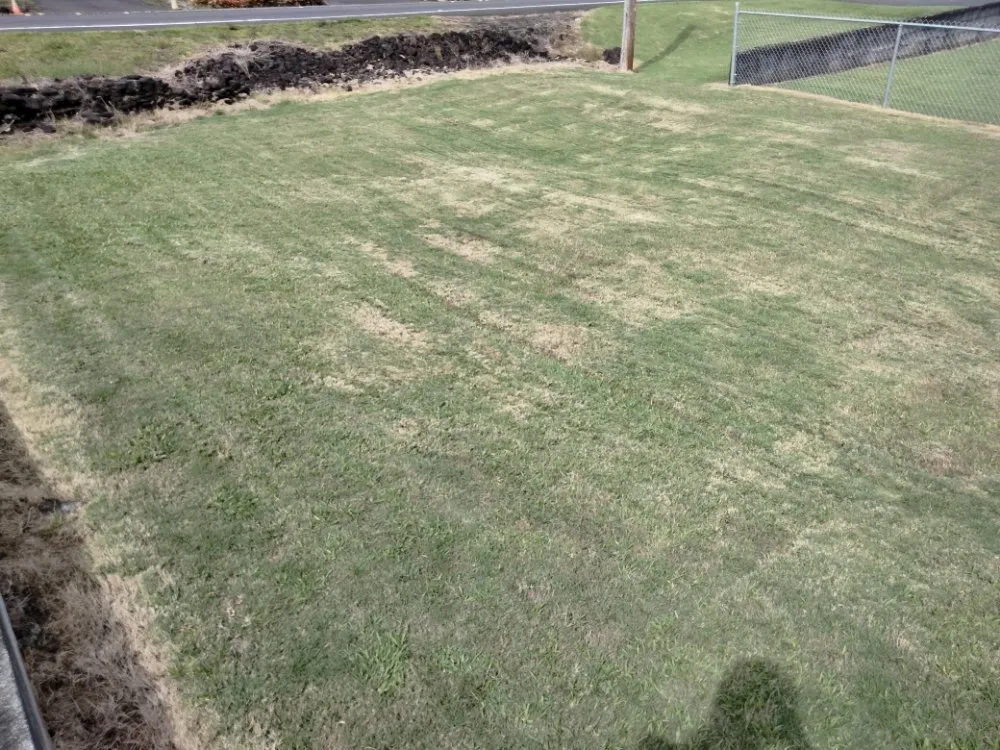 Affordable lawn care service experts serving Pahoa, HI - Padamada’s Landscaping