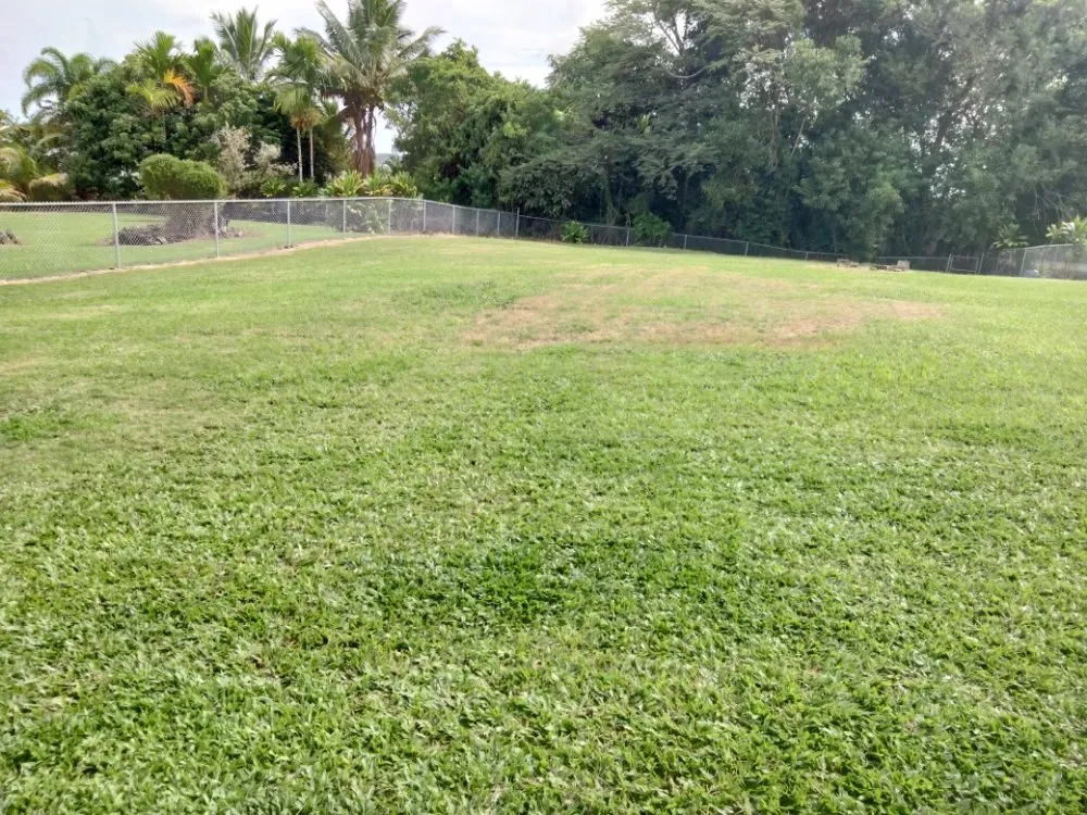 Expert lawn mowing service with custom design across Pahoa, HI - Padamada’s Landscaping