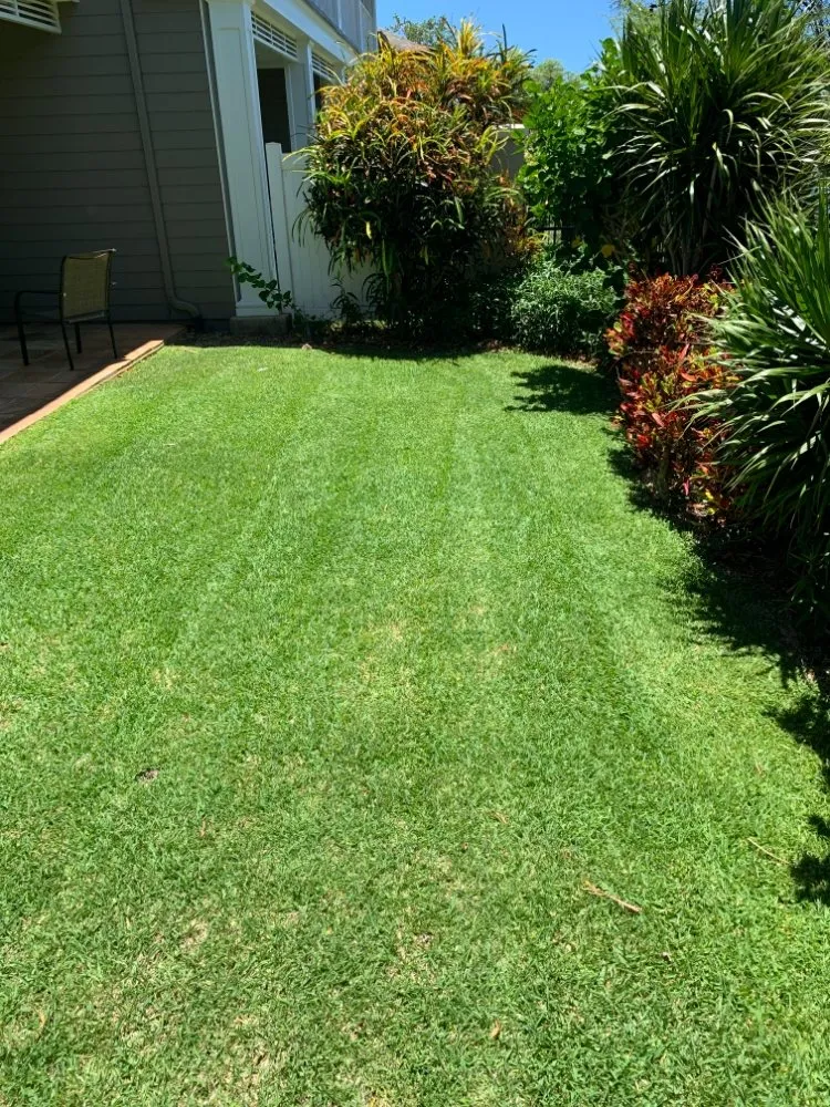 Local residential landscaping experts serving Pahoa, HI - Padamada’s Landscaping