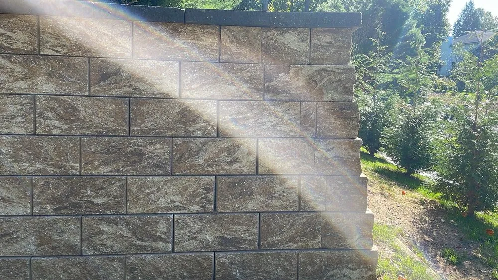 Top-rated lawn care service in Plainfield, NJ by Paddy's Paving and Masonry