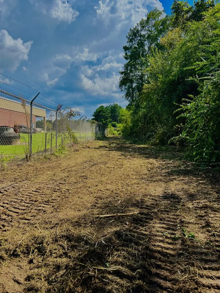 Expert lawn care service experts serving Fitzgerald, GA - Padgett Land Services