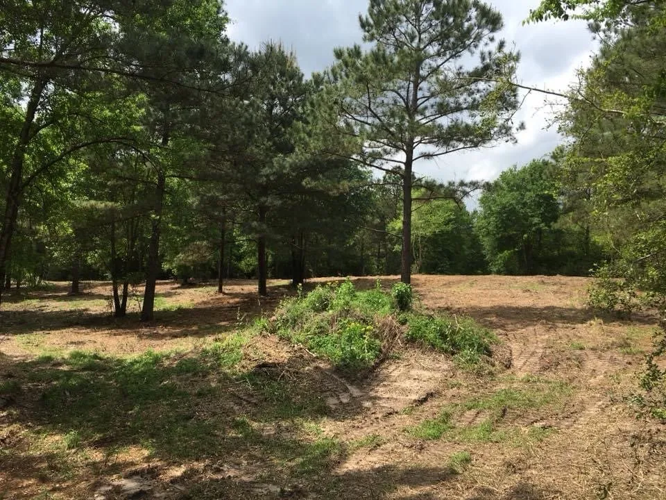 Reliable garden landscaping for beautiful yards in Fitzgerald, GA by Padgett Land Services