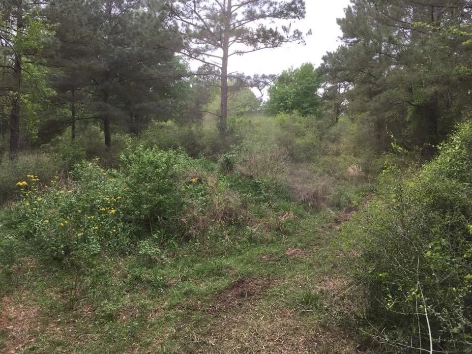 Expert yard maintenance for homes in Fitzgerald, GA by Padgett Land Services