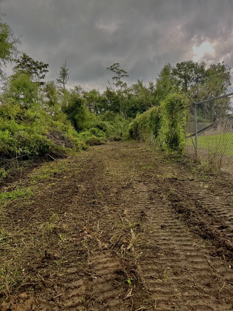 Reliable outdoor landscaping for residential properties across Fitzgerald, GA - Padgett Land Services