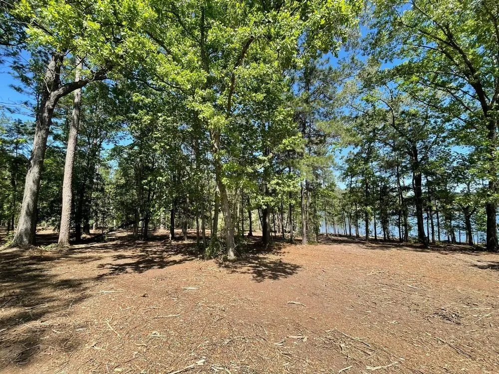 Top-rated lawn care service experts serving Fitzgerald, GA - Padgett Land Services