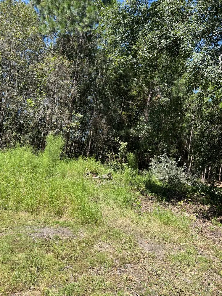 Expert landscape installation in Fitzgerald, GA - Padgett Land Services