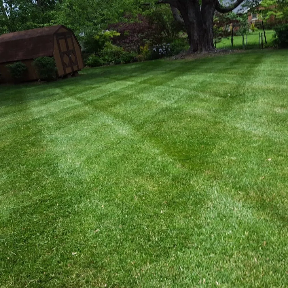 Local residential landscaping for year-round maintenance in Nicholasville, KY by Padgett Lawn Service
