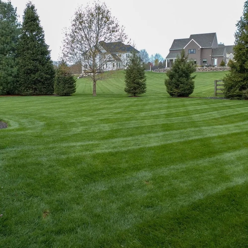 Custom lawn mowing service in Nicholasville, KY by Padgett Lawn Service