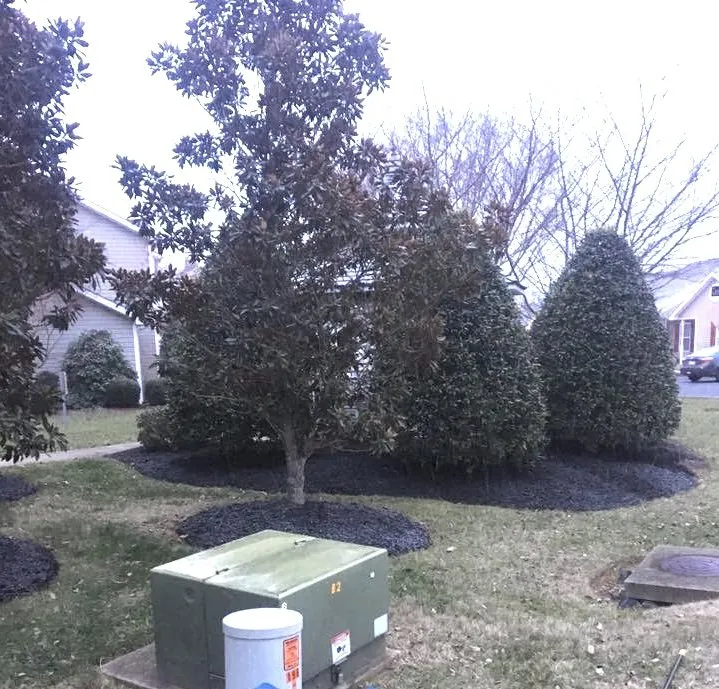 Affordable lawn mowing service experts serving Asheboro, NC - Padilla & Varner Property Maintenance