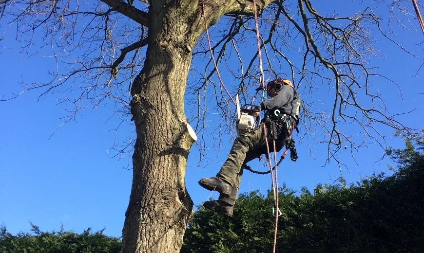 Expert garden landscaping with custom design in Fort Collins, CO by Padilla All Season Services