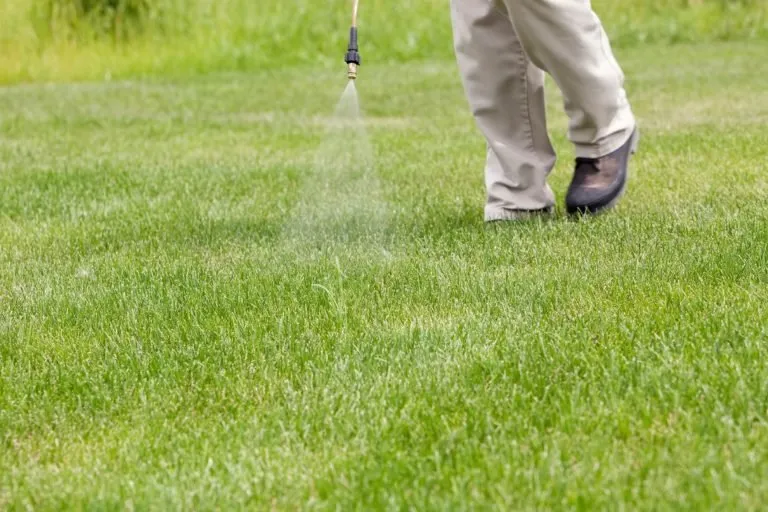 Affordable yard maintenance experts serving Fort Collins, CO - Padilla All Season Services