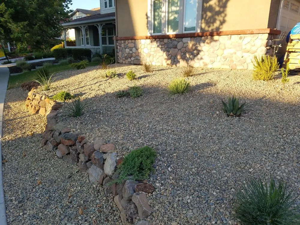 Professional yard maintenance in Brentwood, CA by Padilla Group