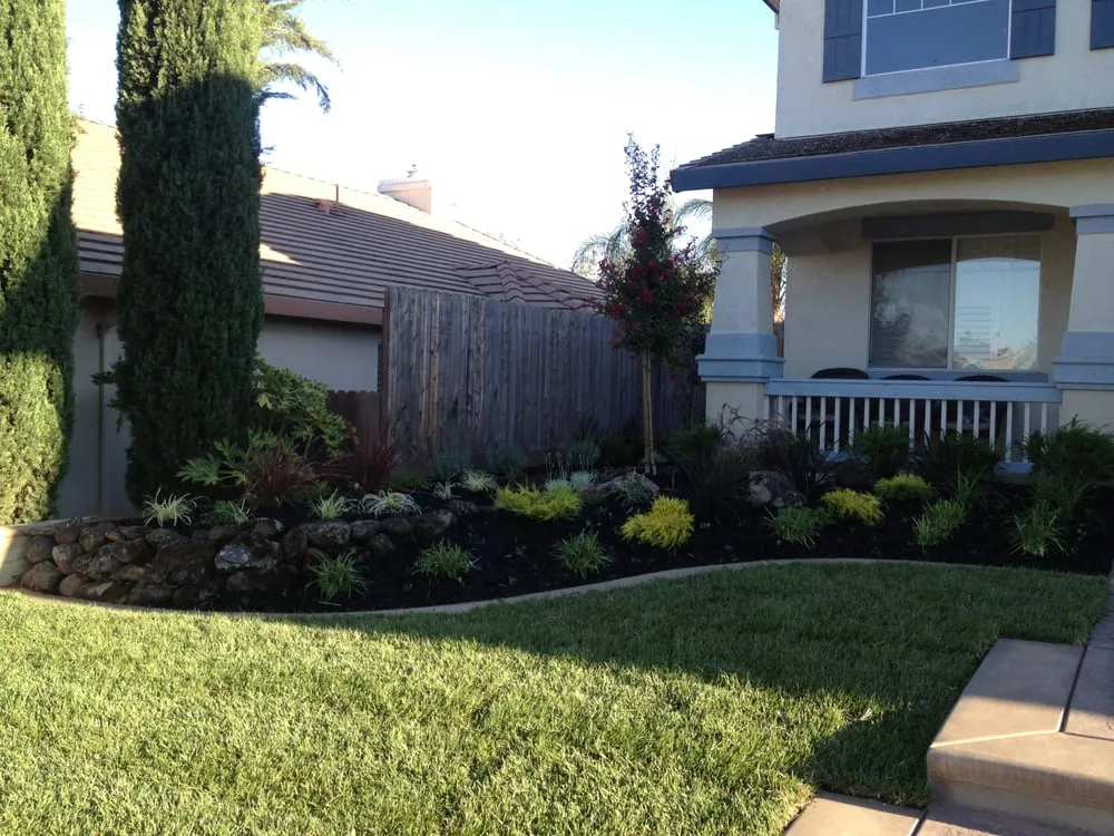 Reliable yard cleanup service in Brentwood, CA - Padilla Group