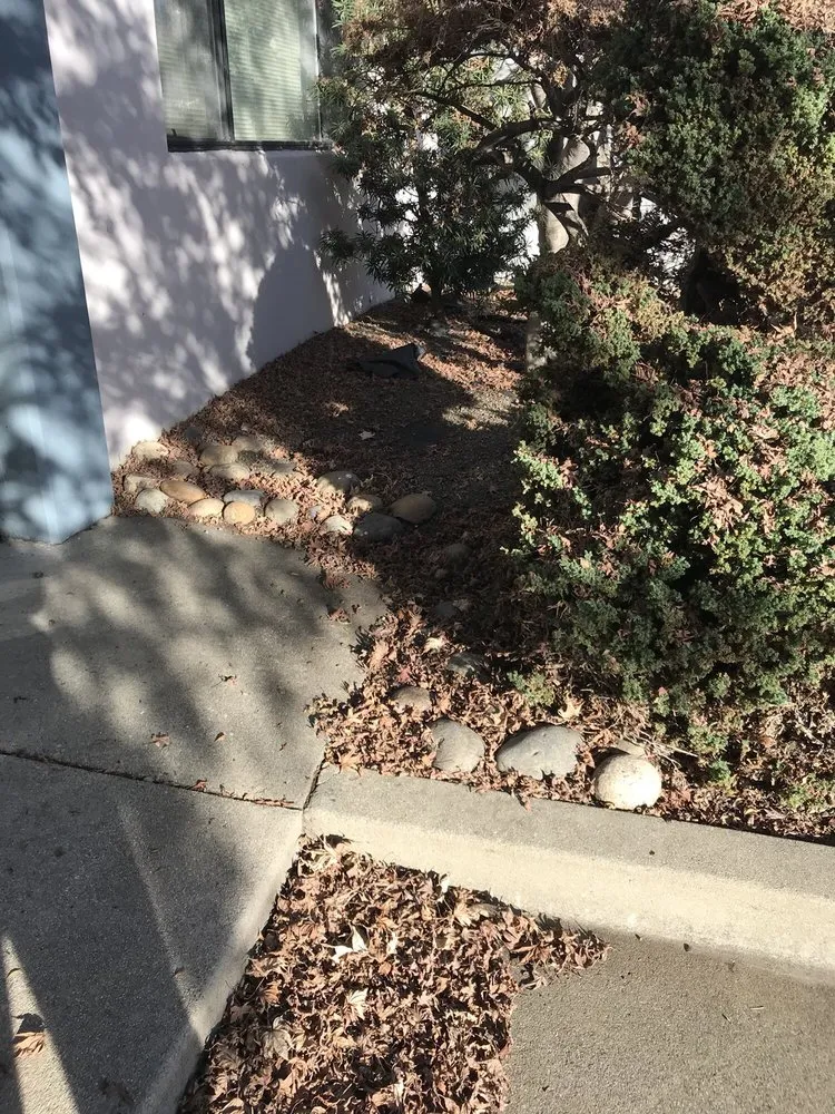 Professional landscape design for outdoor upgrades across Brentwood, CA - Padilla Group