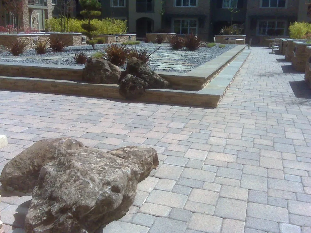 Professional landscape installation for outdoor upgrades across Brentwood, CA - Padilla Group