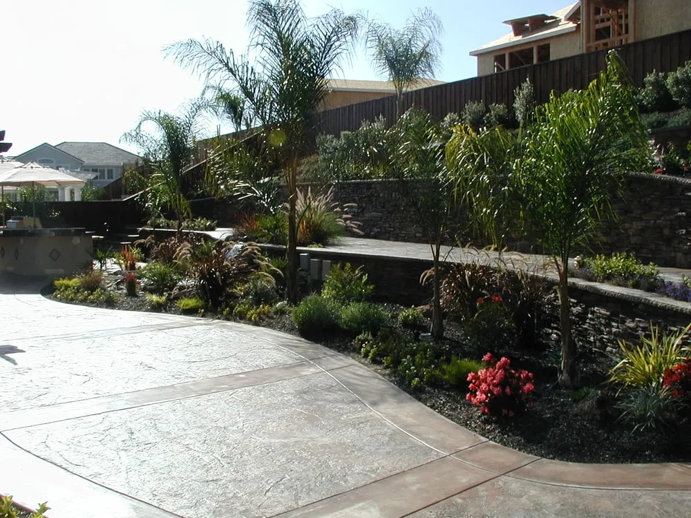 Reliable lawn care service for year-round maintenance across Brentwood, CA - Padilla Group