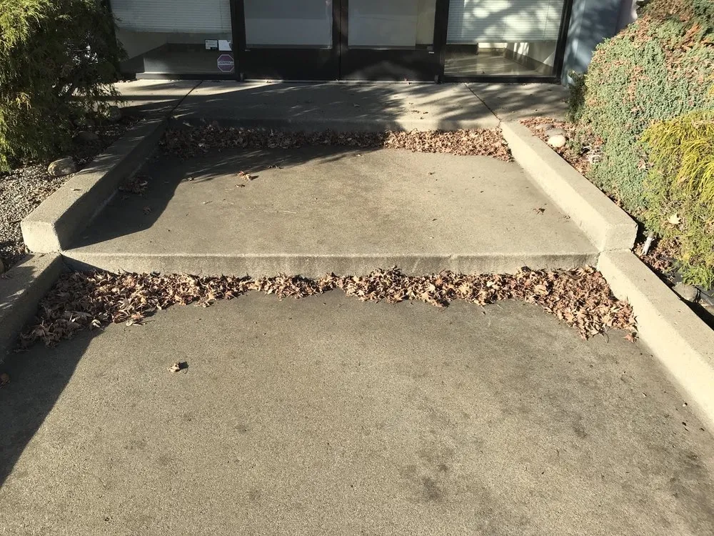 Top-rated yard maintenance near you across Brentwood, CA - Padilla Group