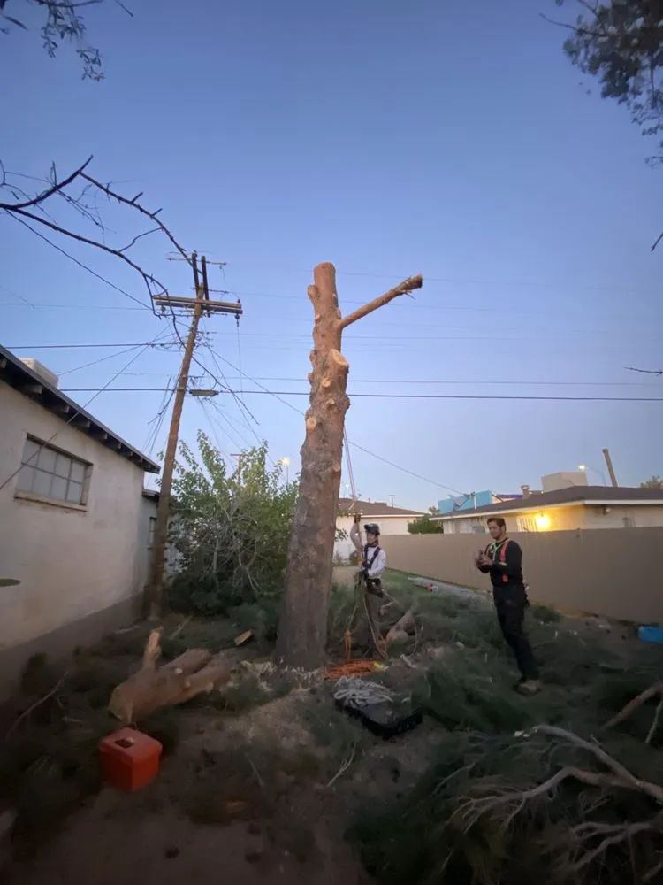 Trusted garden landscaping for homes across El Paso, TX - Padilla Home Service