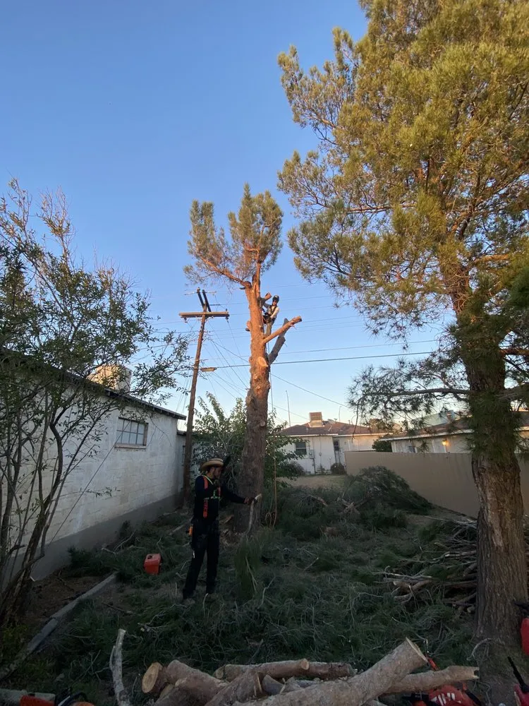 Custom landscaping services in El Paso, TX by Padilla Home Service