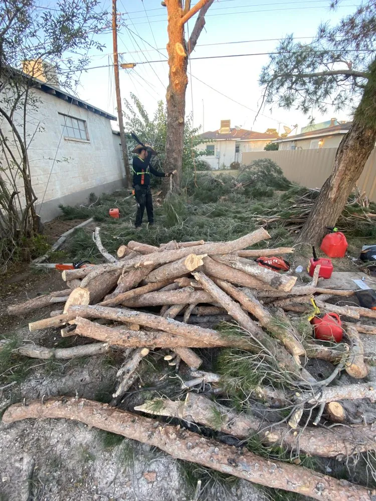 Reliable yard cleanup service in El Paso, TX by Padilla Home Service