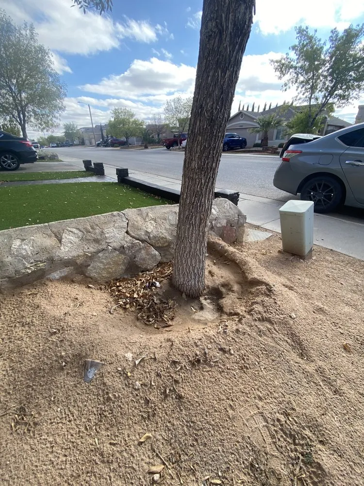 Local lawn care service in El Paso, TX by Padilla Home Service