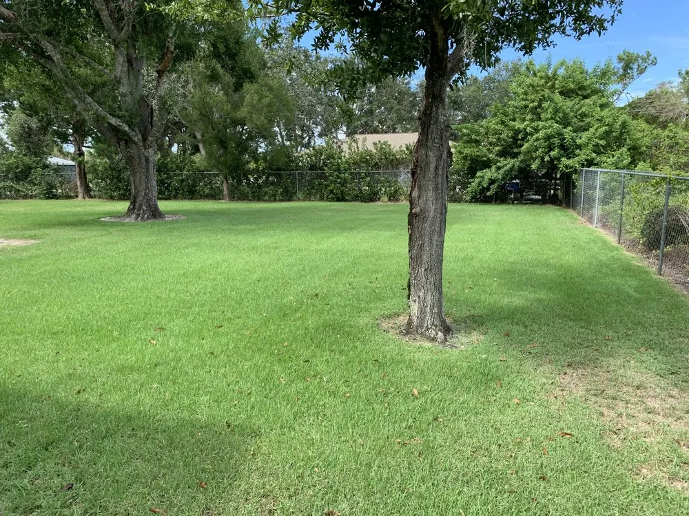 Expert landscape design in Lake Placid, FL - Padilla Landscape