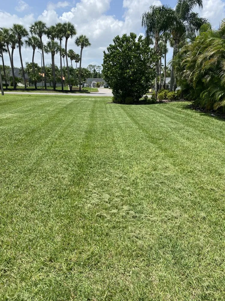 Local lawn mowing service with custom design in Lake Placid, FL by Padilla Landscape