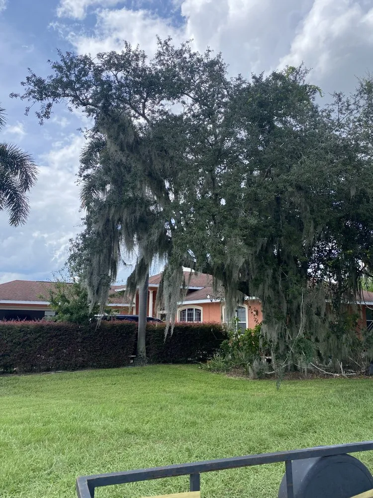 Trusted residential landscaping for residential properties in Lake Placid, FL by Padilla Landscape