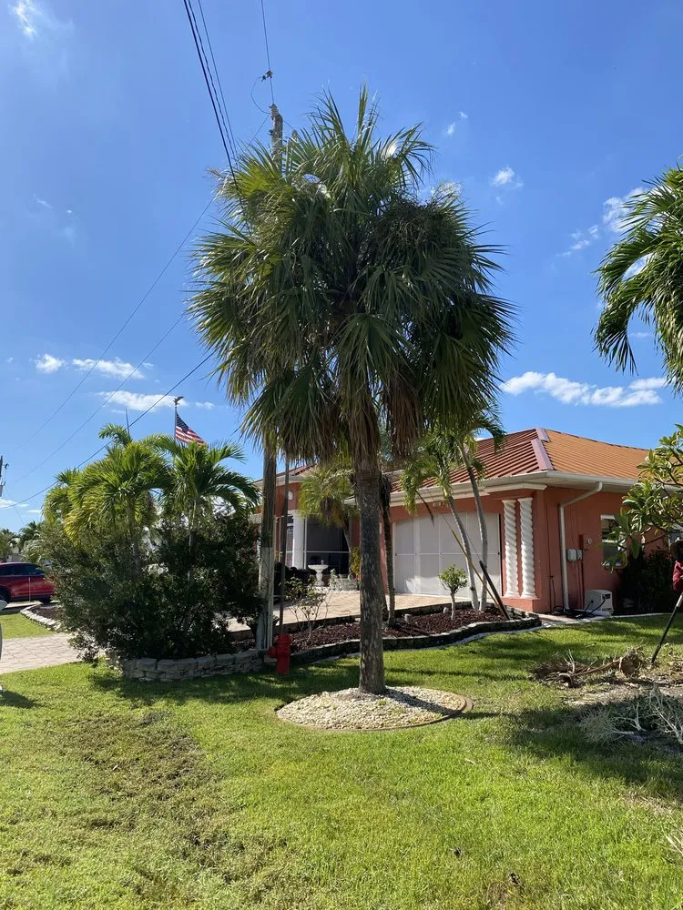 Top-rated lawn care service experts serving Lake Placid, FL - Padilla Landscape