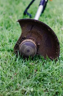 Padilla Landscape Logo