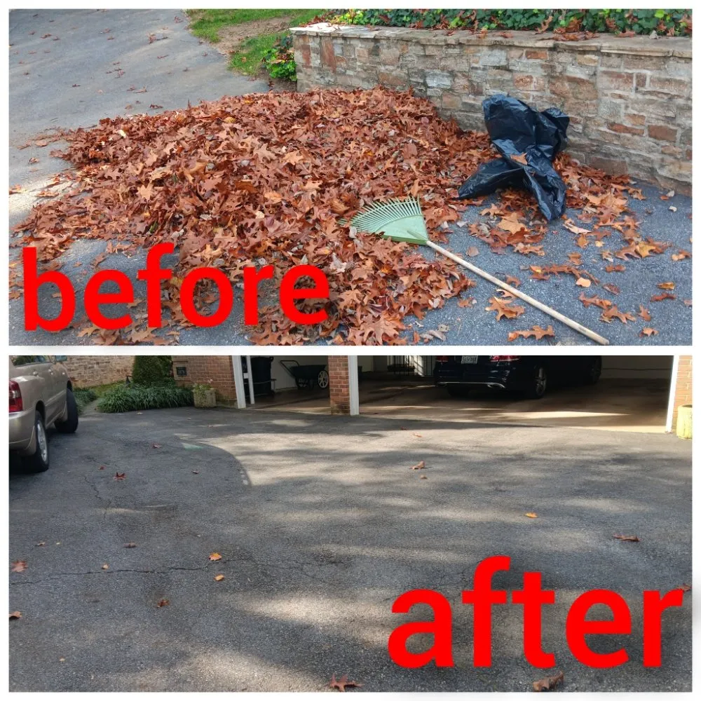 Affordable outdoor landscaping in Baltimore, MD by Padilla Landscaping and Painting