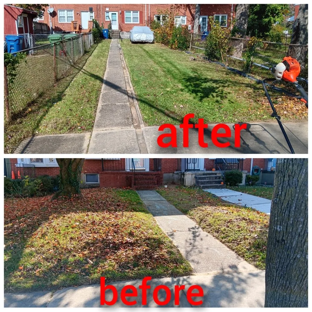 Professional garden landscaping in Baltimore, MD - Padilla Landscaping and Painting