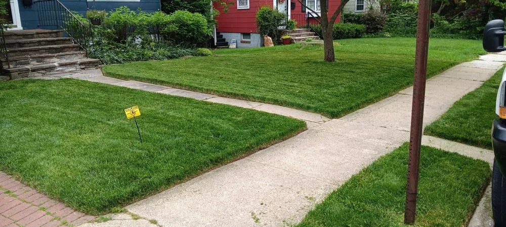 Custom yard cleanup service experts serving Baltimore, MD - Padilla Landscaping and Painting