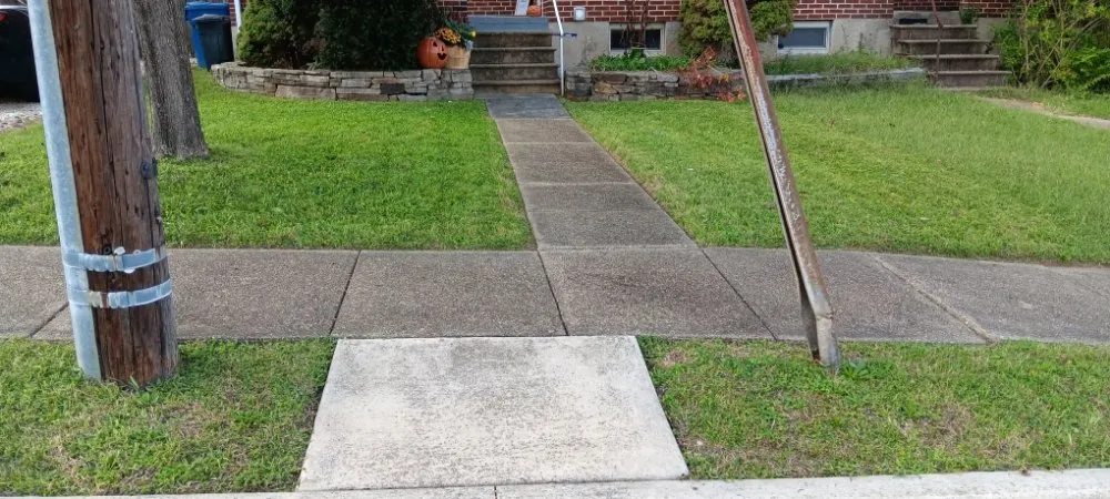 Local lawn care service in Baltimore, MD by Padilla Landscaping and Painting