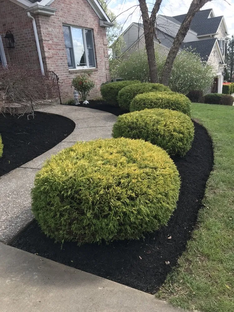 Local yard maintenance for residential properties in Edgewood, MD by Padilla Landscaping