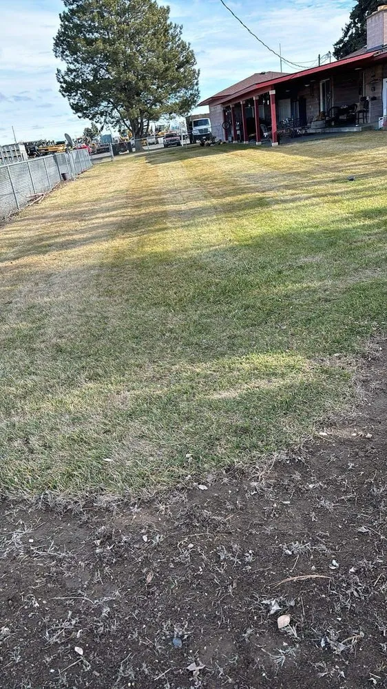 Custom lawn care service in Moses Lake, WA - Padilla Lawn Care