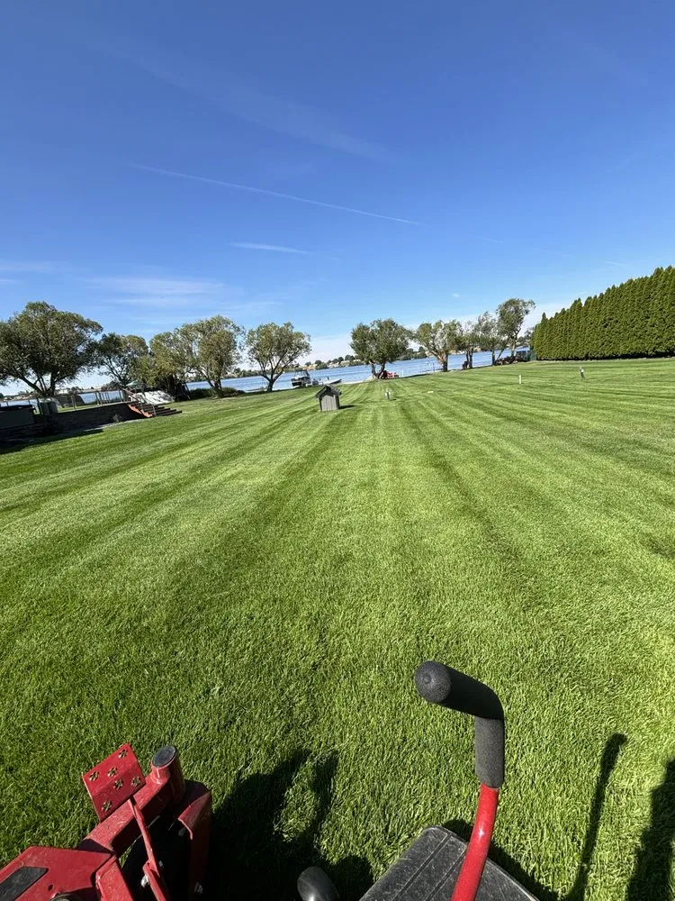 Professional yard cleanup service in Moses Lake, WA - Padilla Lawn Care