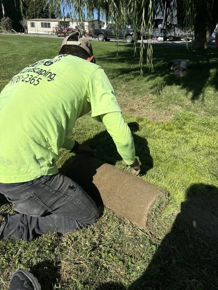 Top-rated yard maintenance for beautiful yards across Moses Lake, WA - Padilla Lawn Care