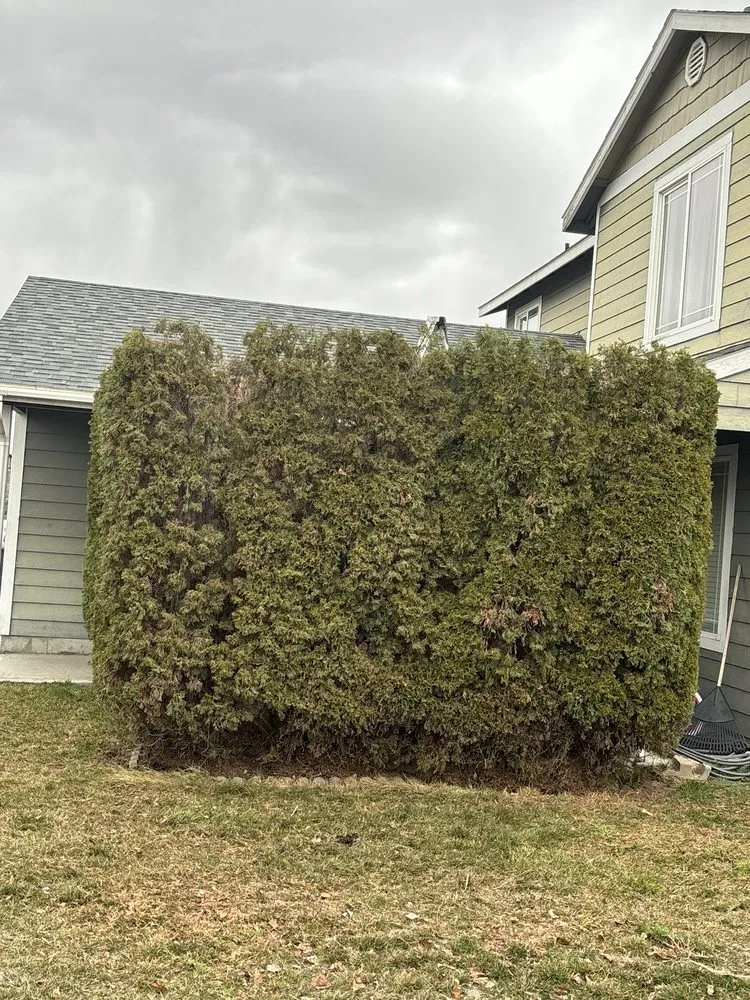 Professional landscaping services in Moses Lake, WA - Padilla Lawn Care