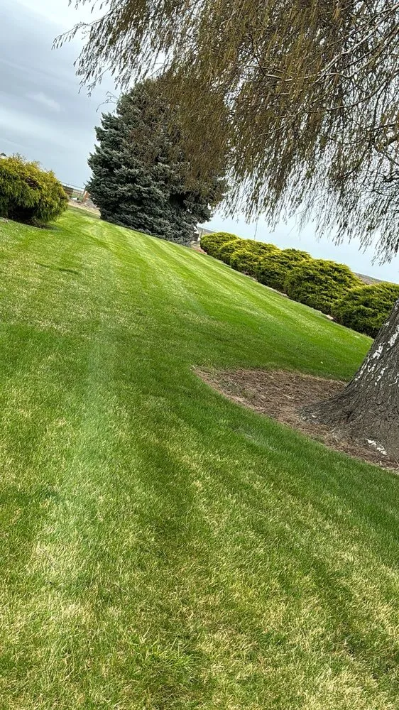 Affordable landscape installation in Moses Lake, WA - Padilla Lawn Care