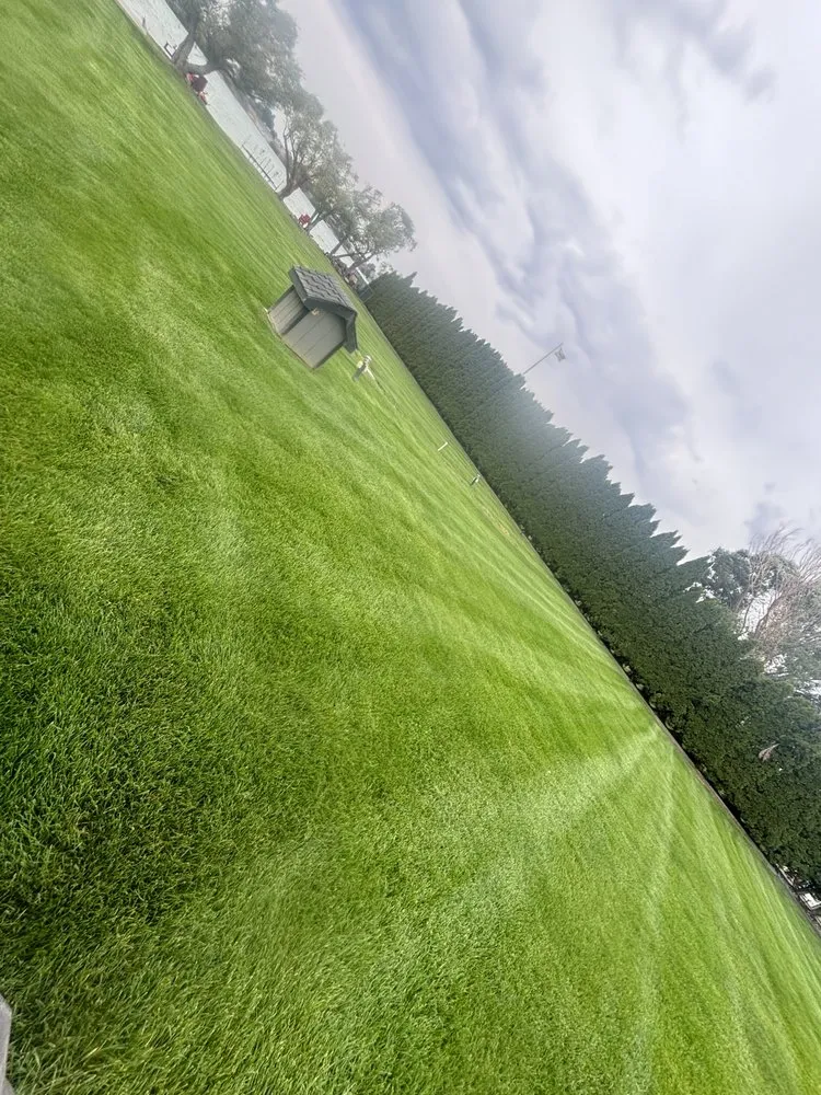Expert yard maintenance for residential properties across Moses Lake, WA - Padilla Lawn Care