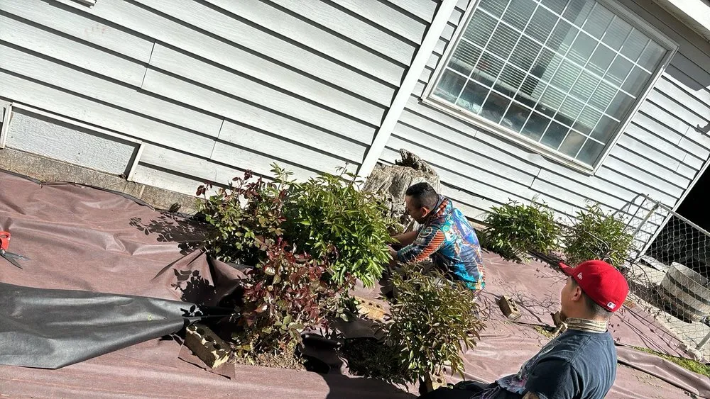 Affordable lawn care service for homes in Moses Lake, WA by Padilla Lawn Care