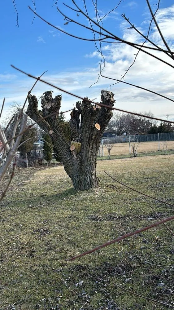 Expert residential landscaping for outdoor upgrades across Moses Lake, WA - Padilla Lawn Care