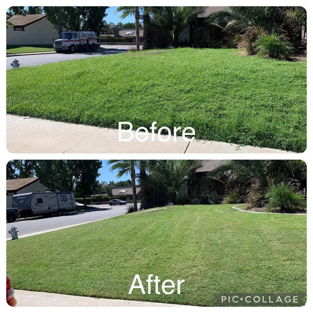 Reliable landscaping services for outdoor upgrades in Bakersfield, CA by Padilla Maintains